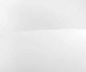 SHIKARI® (S-ATENF) Anti-Enfortumab ELISA